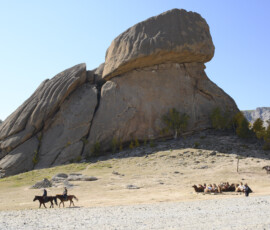 Turtle shape rock with surrounding camel rides and eagle photo opportunities.