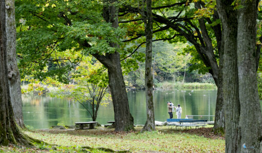 15Oct2025, Toinuma Park, Furano ,Hokkiado,Iso640,130mm,f8.0,1/80sec